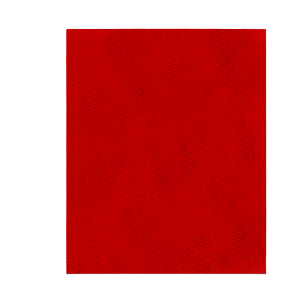 Diablo DND911220H05G - 9" x 11" Sand Demon™  220-Grit Reusable Sanding Sheets (5-pk)
